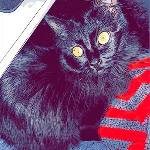 Meet your Posher, Melanie